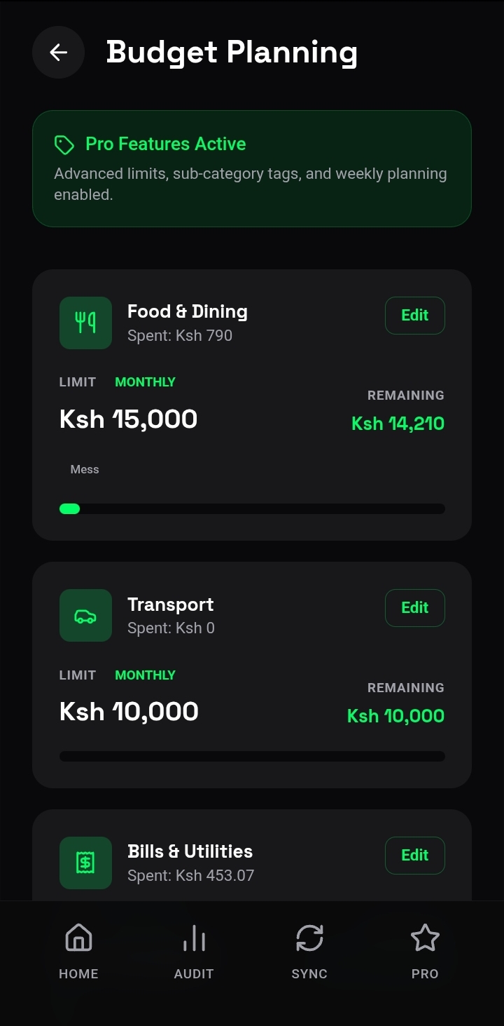 Neon budget planning screen
